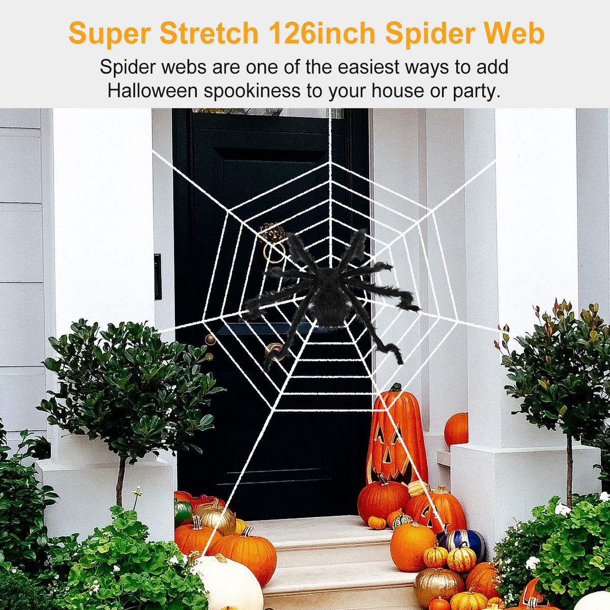 Giant 49 in Halloween Spider with 126 in Stretch Web – image 7