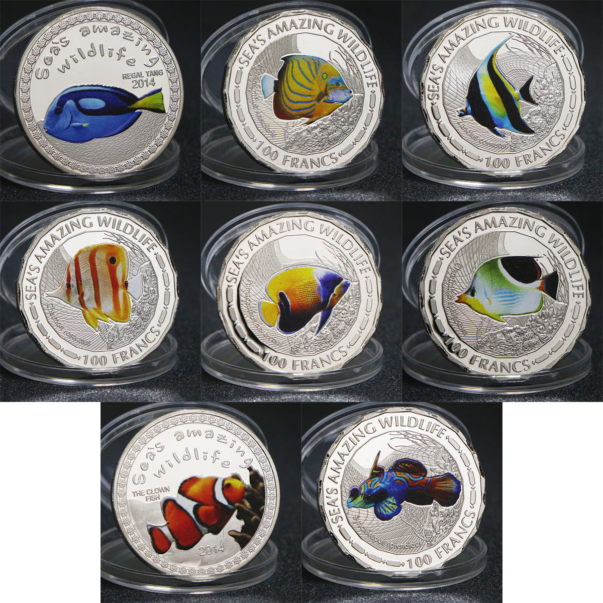 Africa Tropical Fish Commemorative Coin Marine Animals